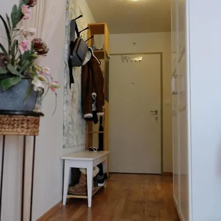 Apartment Schoene Mit Persoenlichem Charme Vulpera